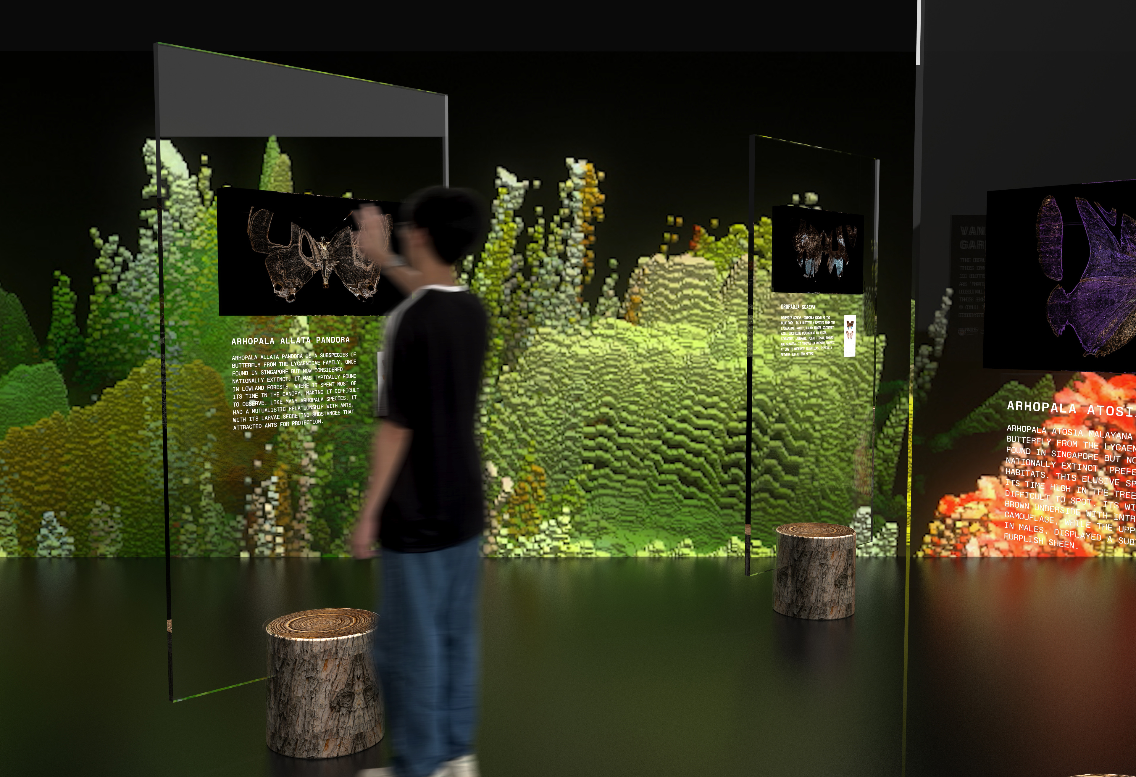 Vanished Garden Exhibition Installation